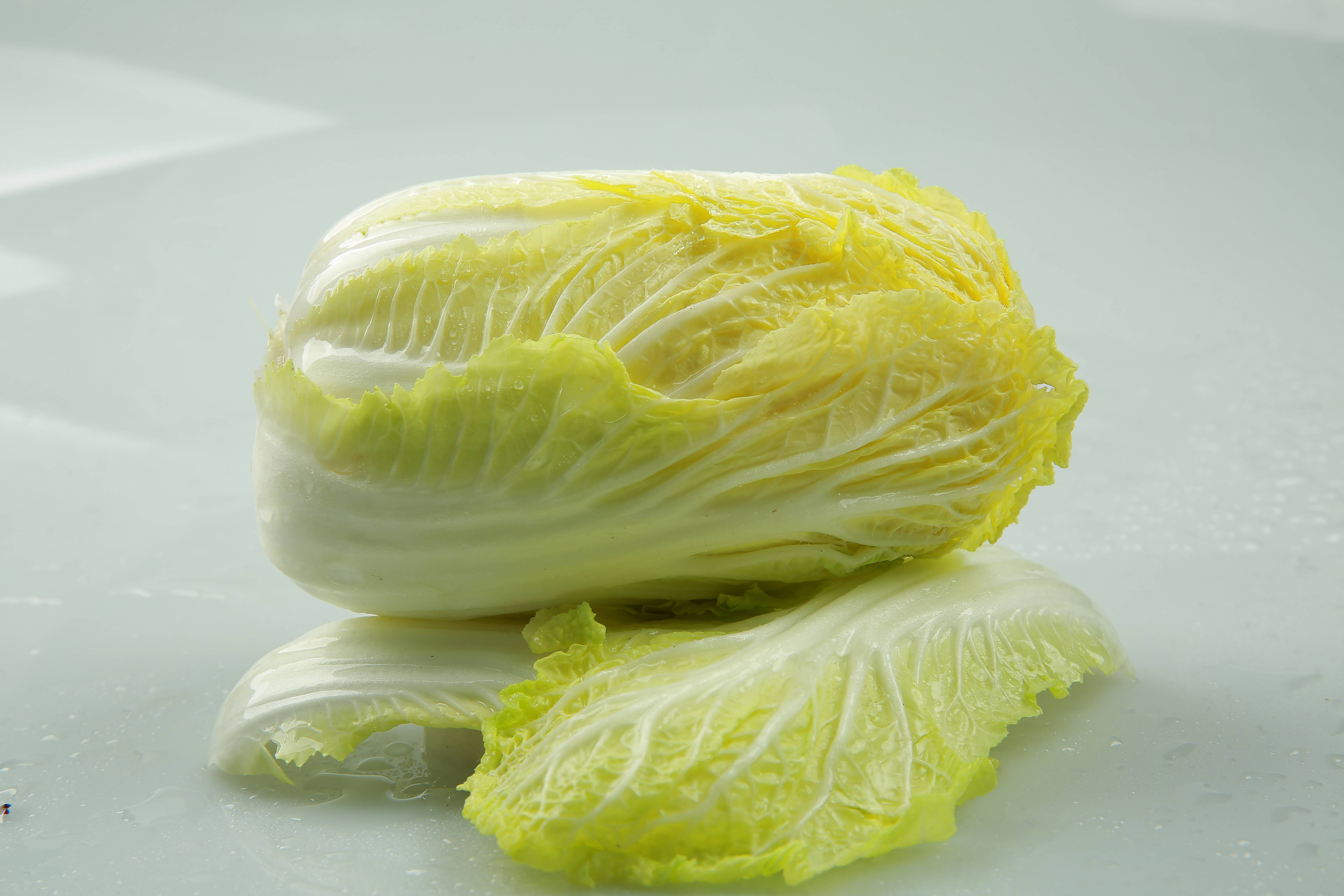 大白菜